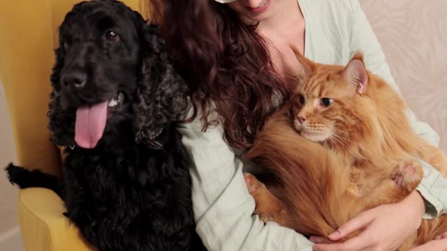 A Woman Holding a Cat While Sitting Beside a Dog