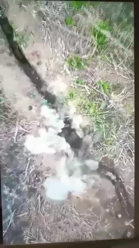 Raining Grenades into Russian Trenches