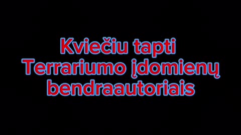 Kvierimas kurti kartu