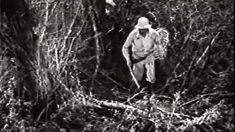 The Lost City - 1935 Serial Ep 07 Spider Men