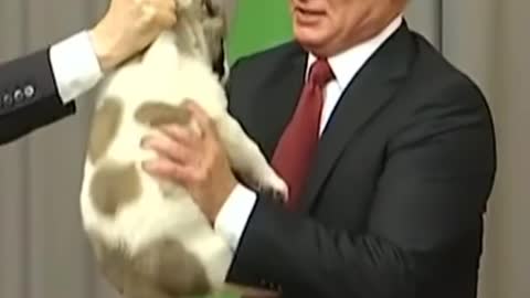 Vladimir_Putin_Sigma_Rule_|_#shorts_#sigmarule_#sigmamale_#vladimirputin(1080p)