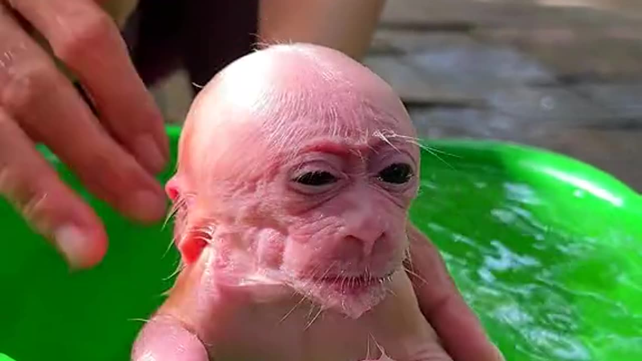 Чудо