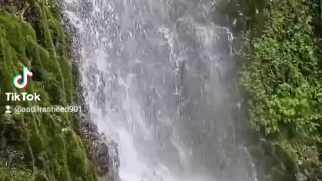 "Enchanting Cascades: Captivating Waterfall Wonders"