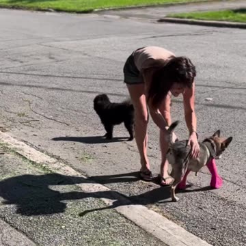 Where their a will there's a way