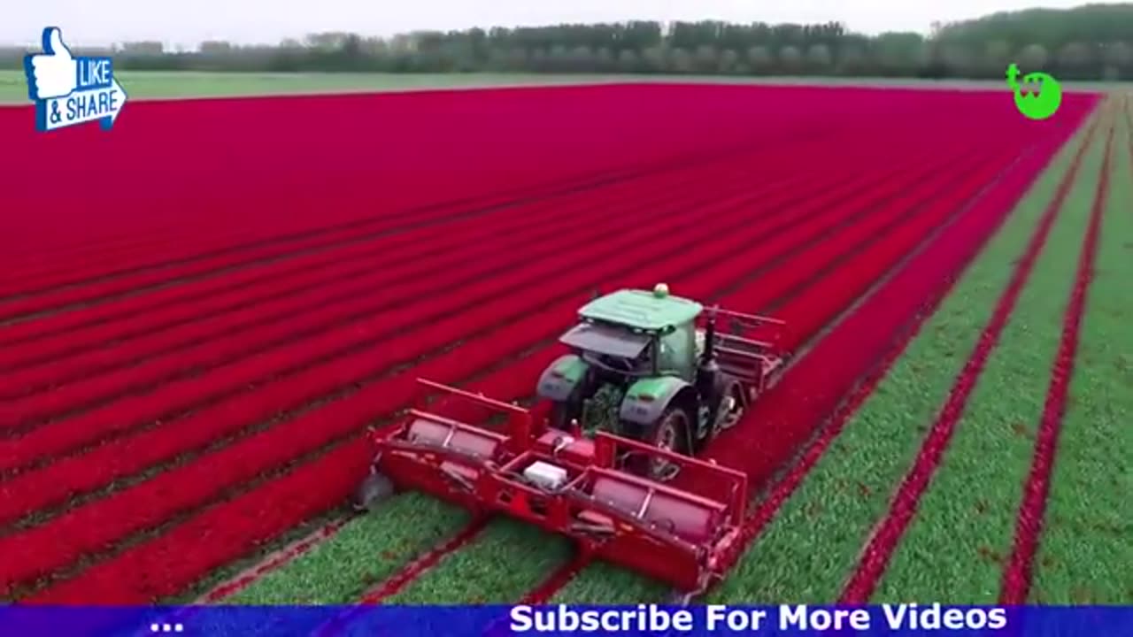 Amazing agriculture machines