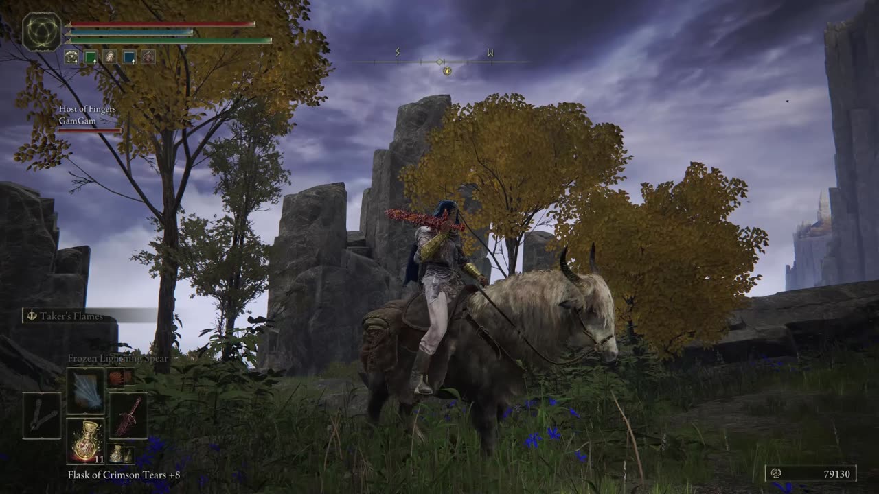 Elden Ring- its out of bounds.