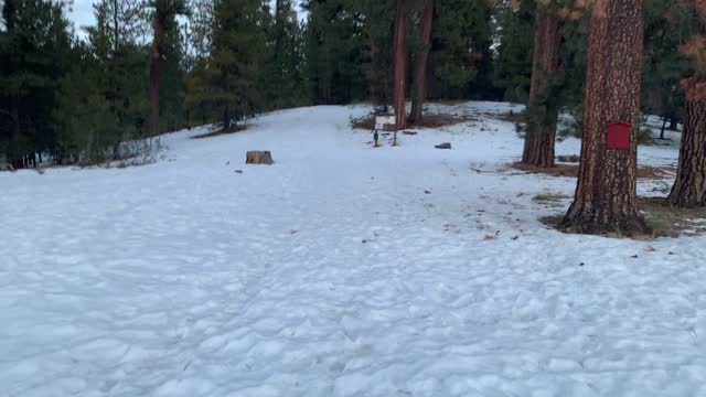 Bandit Springs Sno-Park Trailhead – Ochoco National Forest – Central Oregon – 4K