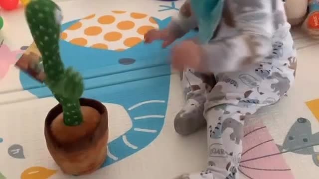 Talking Cactus Makes Interesting Sounds