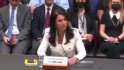 Tulsi Gabbard Really Nails It Here - Crushing the Dems on Censorship