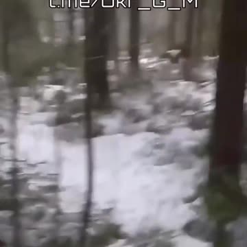 Russian soldier sings popular soviet song "Katyusha" to identify friendly in the distance