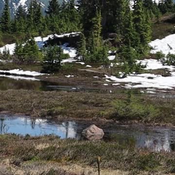 PICTURE LAKE MT. BAKE WASHINGTON