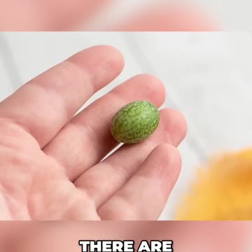 The Magnificent Volcanoes of the Moon: A Glimpse into the Past