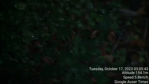 1 of 2 Why I completely stopped picking up chestnut 32 years ago at age 21