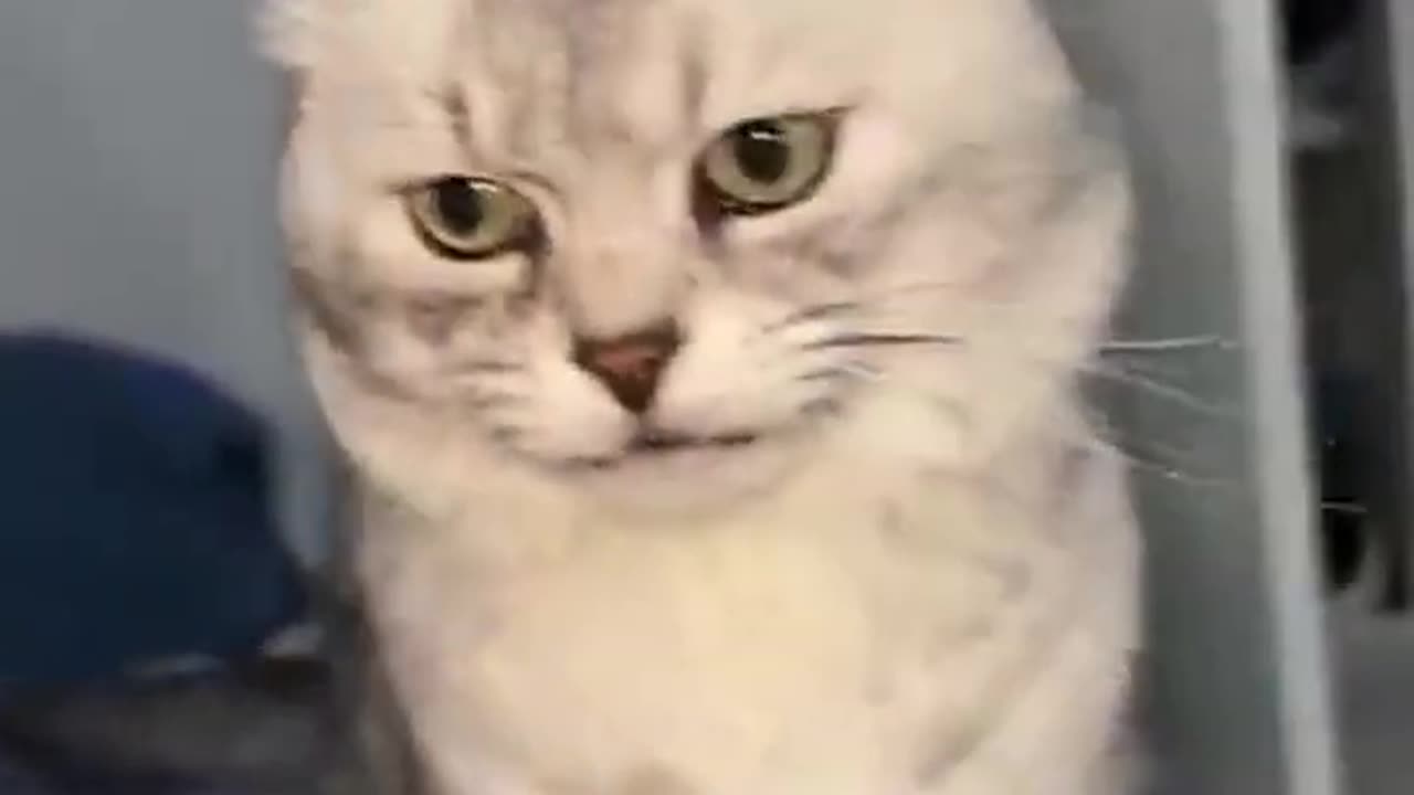 Funny meme 14