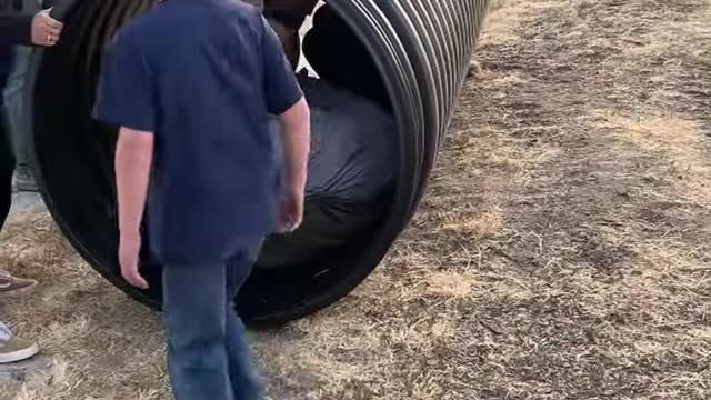 3 Guys Brace Themselves in Drainage Pipe and Roll Down a Steep Hill