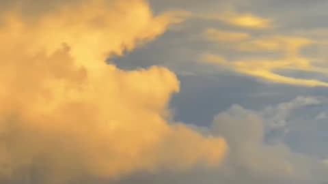Natural videos..