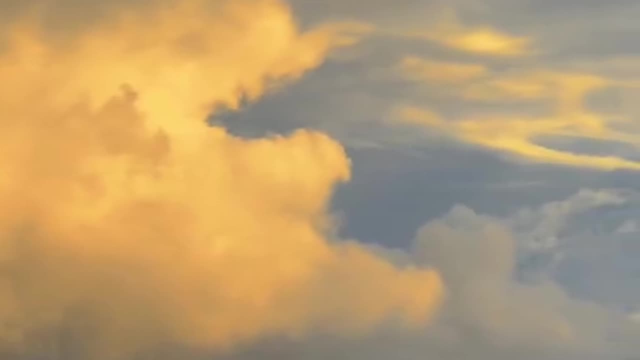 Natural videos..