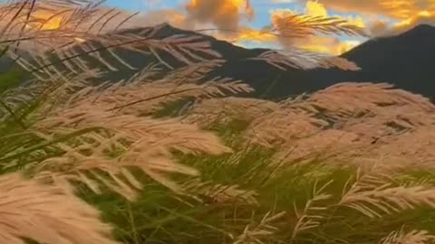 # autumn # wind # missyou # sky # sunset # foryou# beauty # tiktok # scenery