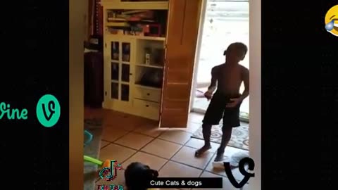 Best Funny Animal Videos Of The 2023 🤣 - Funniest Cats And Dogs Videos 😺😍😂🐶 Funny cat & dog videos 😍