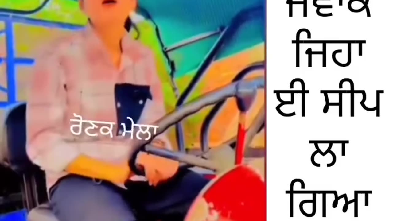 funny videos