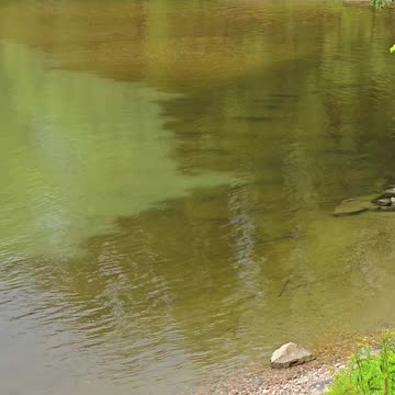Fresh water meets muddy water / Two rivers meet.