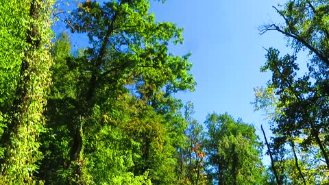 Issaqueena Falls; Upstate South Carolina