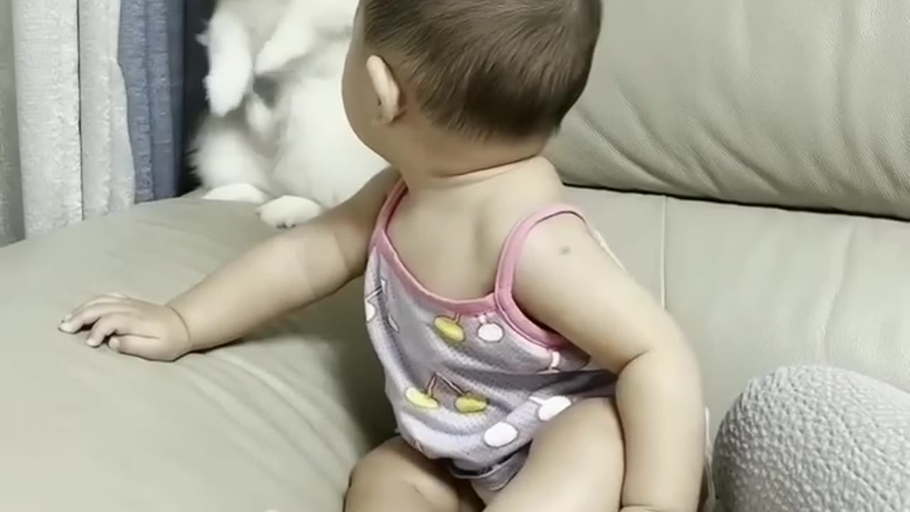 Cat love baby