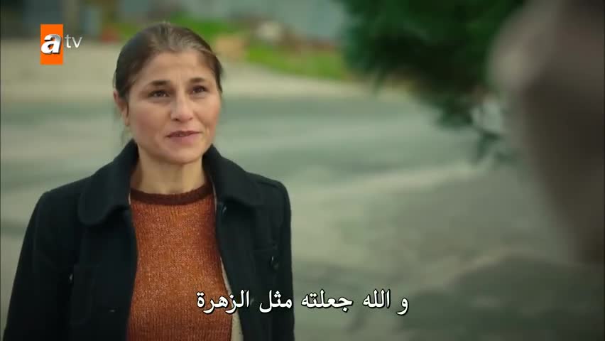 مسلسل أخوتي الحلقة 3