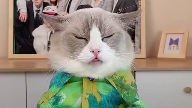 Don’t you mess with puff!