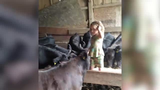 It's fun for babies to play with animals