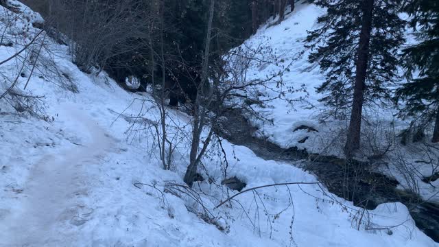 Perfect Conditions for Yaktrax or Microspikes – Tamanawas Falls – Mount Hood – Oregon – 4K