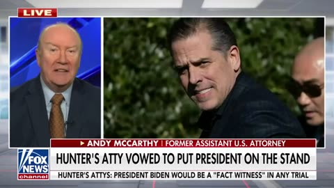 DOJ was told it would be 'career suicide' to pull 'trigger' on Hunter charges: McCarthy