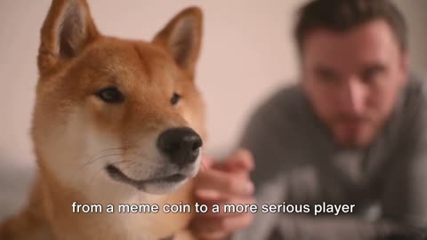 The Real Potential of Shiba Inu Cryptocurrency