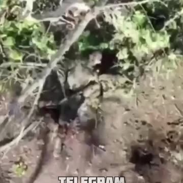 Russians Aren't Handling the Ukrainian Mortars Very Well