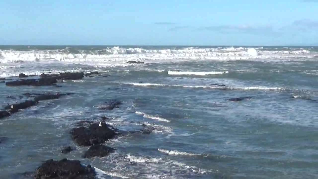 Moss Beach, CA — Fitzgerald Marine Reserve