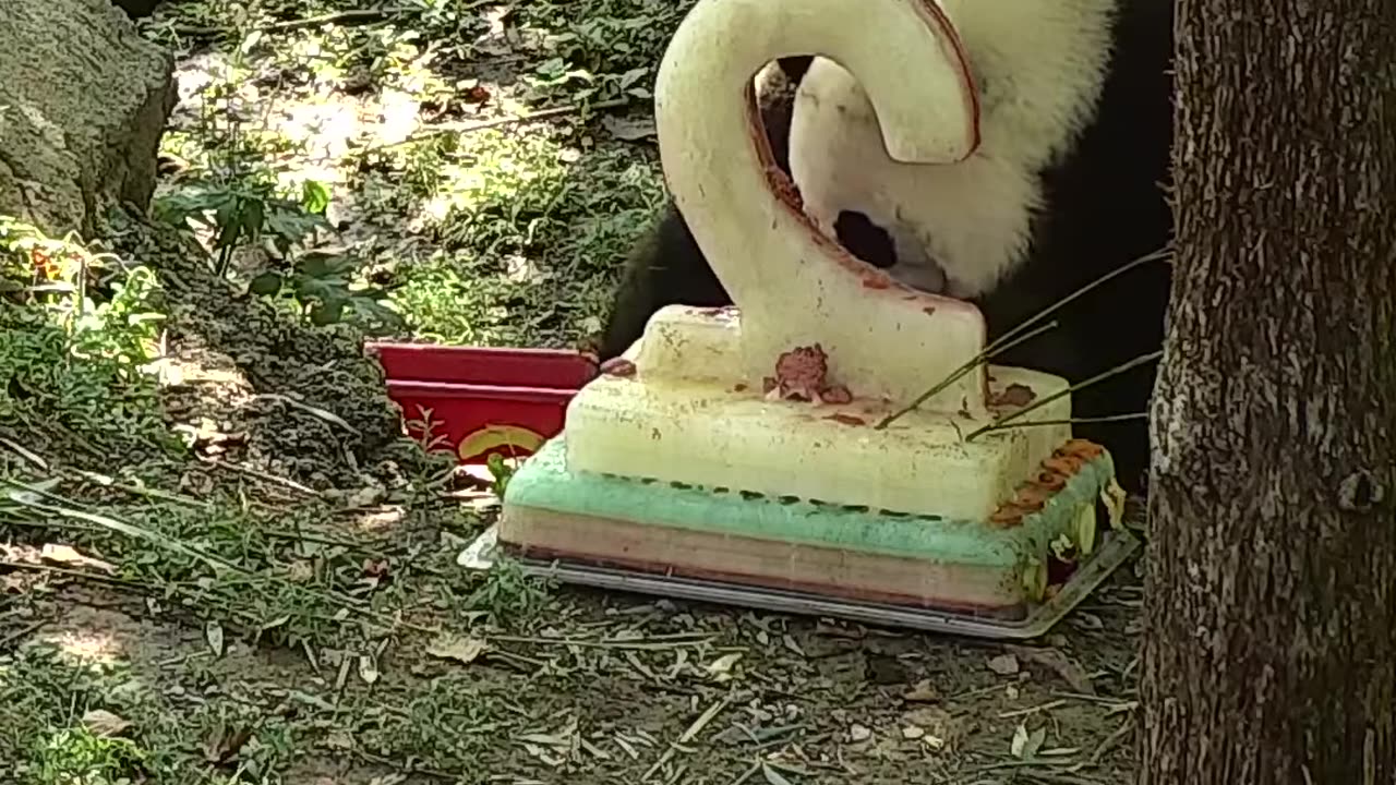 Bei Bei's Second Birthday!