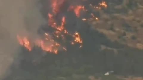 Forest fire in Pencahue (Maule, Chile )