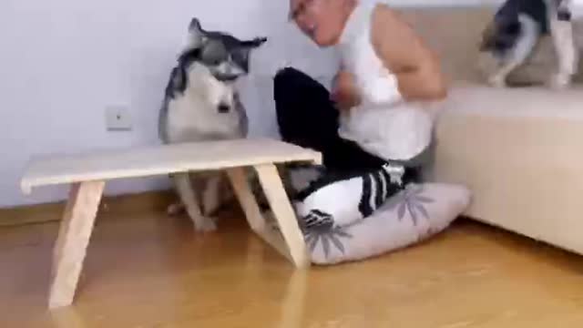 Boxing champion Husky