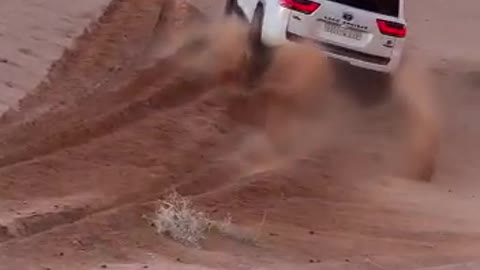 toyotaa landcruiser 2022