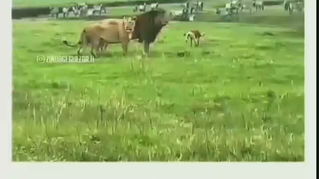 You have Confidence