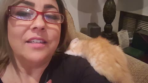 Rescue Kittens Ra giving kitten love