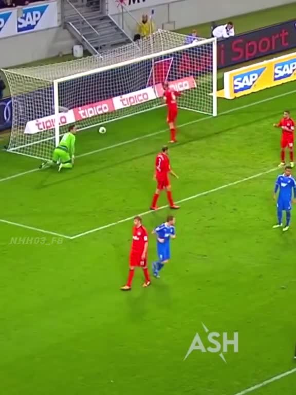 Who is at fault, why did the ball enter, because the net was torn. haha