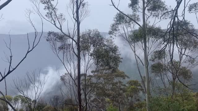 Blue Mountains, NSW, Australia