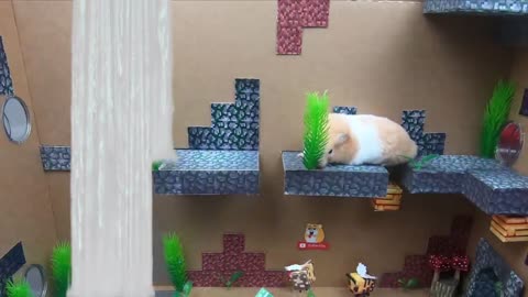 Hamster Escapes The Awesome Minecraft Maze With Underwater Obstacle Course9