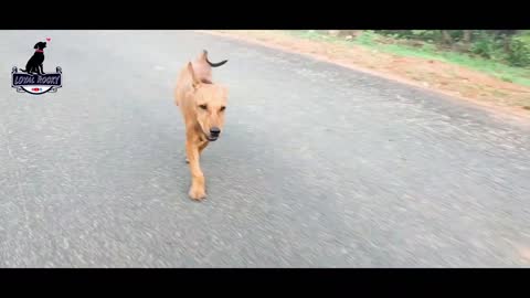 Just tell me that I can’t