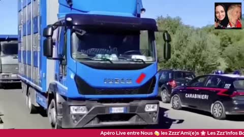 ApéroLive avec Vous les Zzz'Amis 25/02 Les Zzz'Infos Bonheur de Leelou