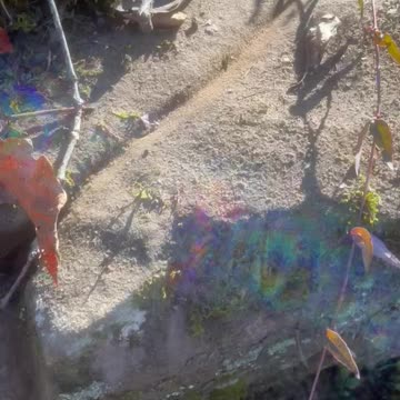 Mountain Brook 12.5.23