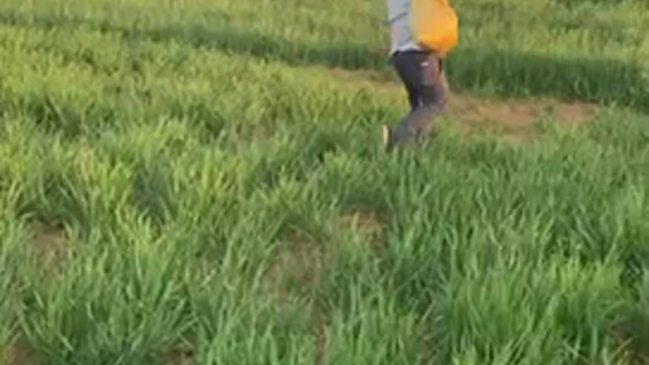 Indian Farming