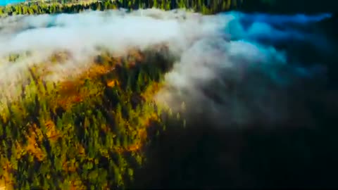 relaxing sleep music to fall asleep