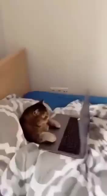 Works hard since early morning